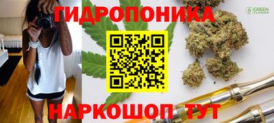 спиды Аша
