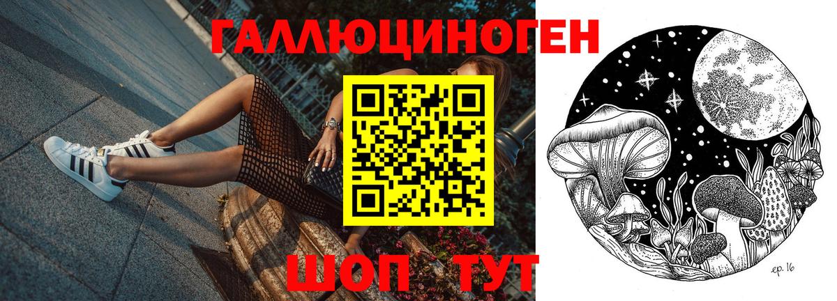 Вятские Поляны  Псилоцибиновые грибы Magic Shrooms  Вход с VPN 